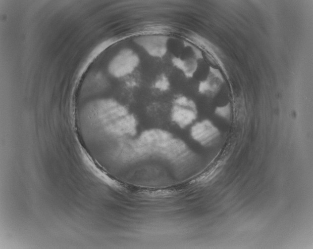 X0000080190851200612221339