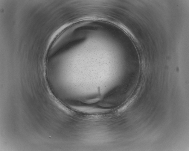 X0000080190854200612221339