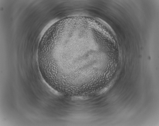 X0000080190855200612221339