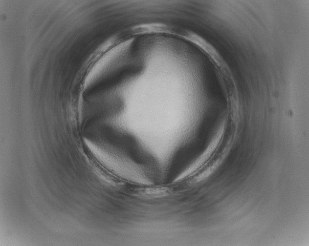 X0000080190857200612221339