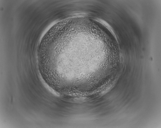 X0000080190859200612221339