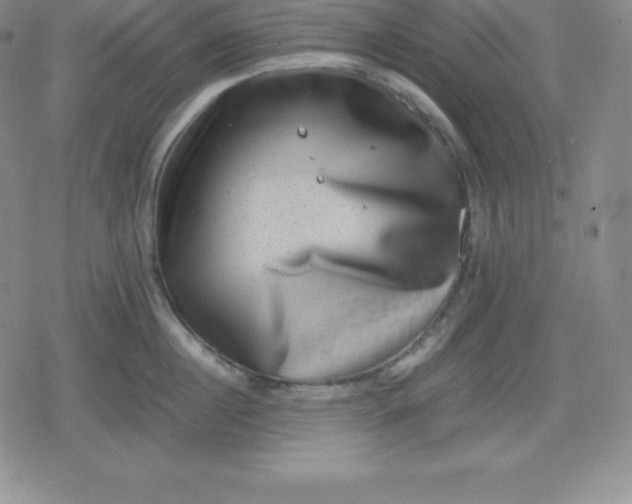 X0000080190860200612221339
