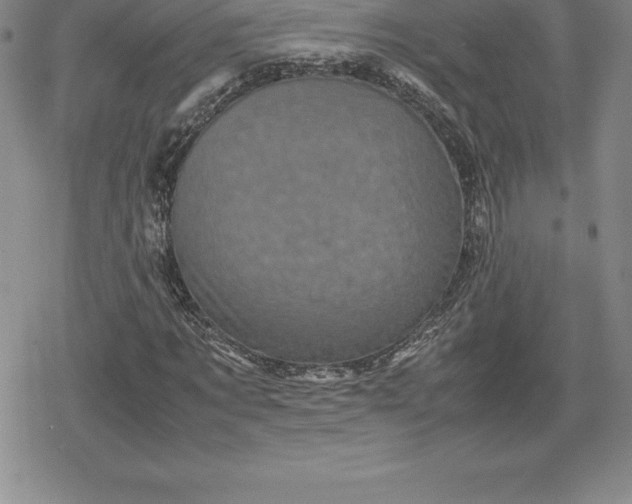 X0000080190869200612221338