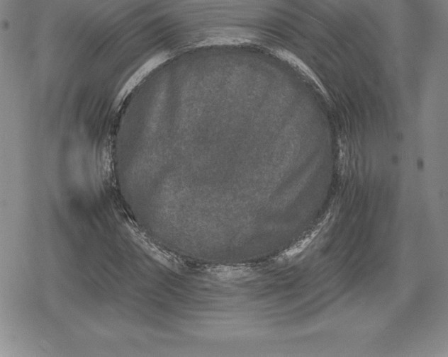 X0000080190874200612221338