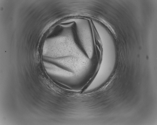 X0000080190876200612221338