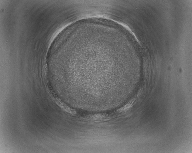X0000080190879200612221338