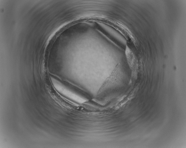 X0000080190880200612221338