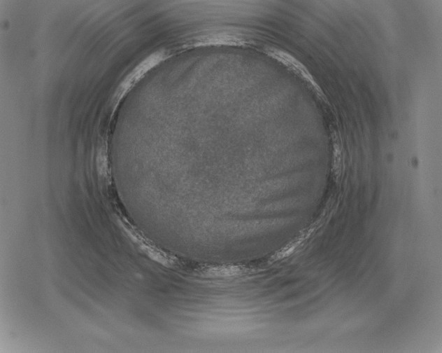 X0000080190882200612221338