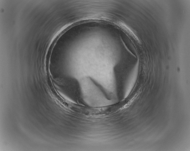 X0000080190884200612221338
