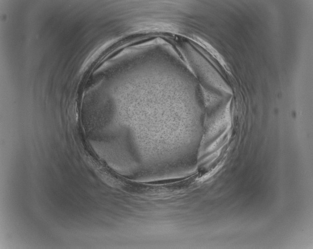 X0000080190885200612221338