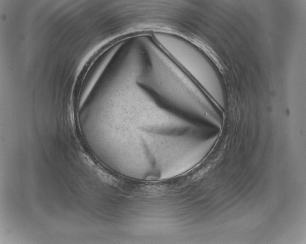X0000080190888200612221338