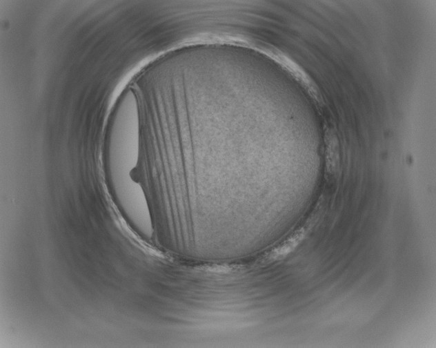 X0000080190896200612221338