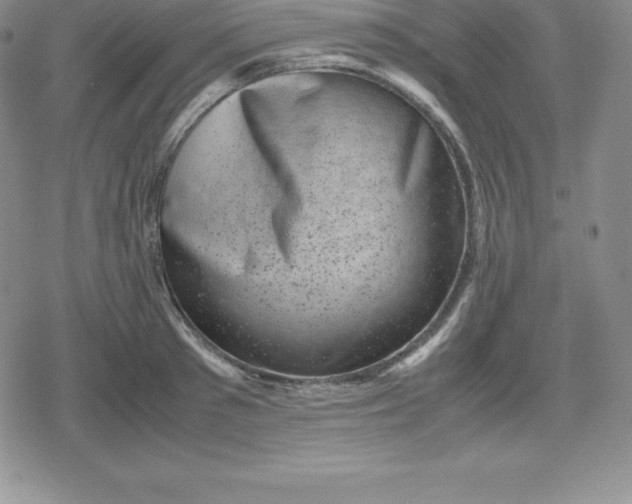X0000080190897200612221338