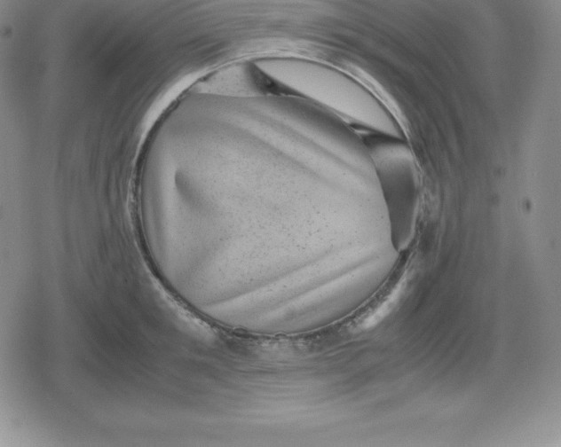 X0000080190901200612221338