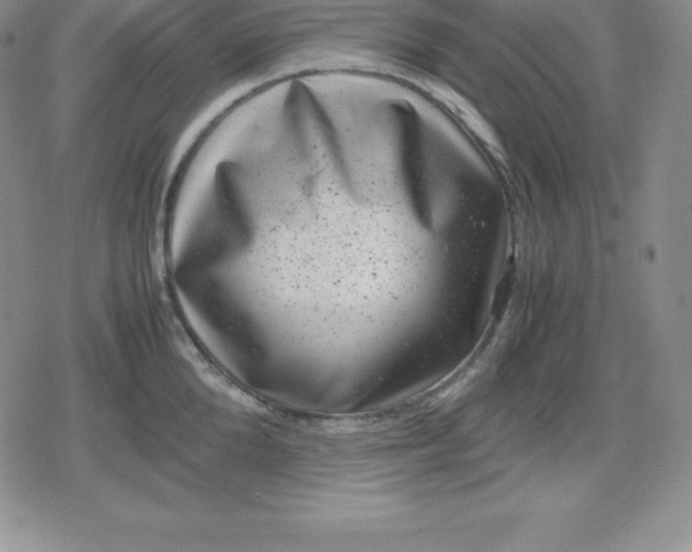 X0000080190904200612221338