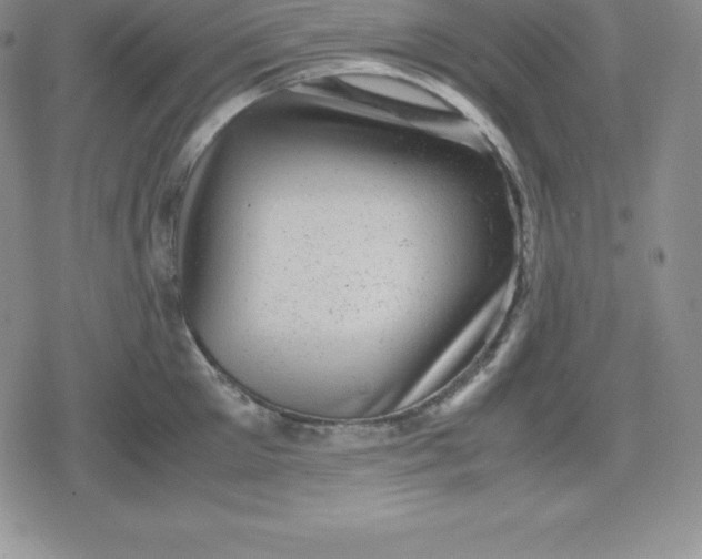 X0000080190905200612221337
