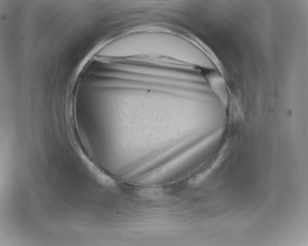 X0000080190909200612221337