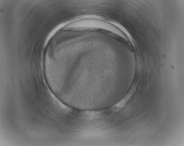 X0000080190910200612221337