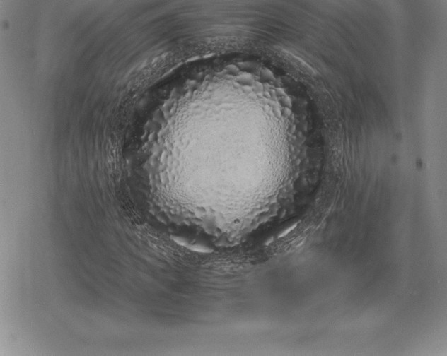 X0000080190917200612221337