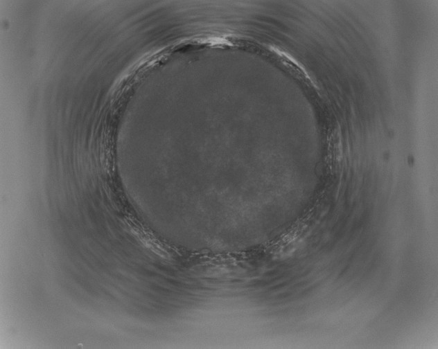 X0000080190919200612221337