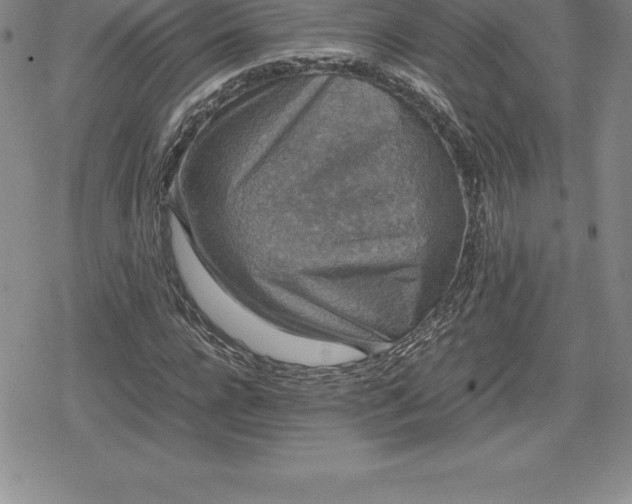 X0000080190920200612221337