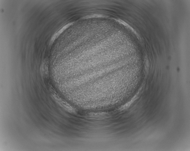 X0000080190921200612221337