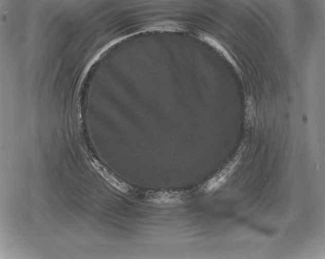 X0000080190923200612221337