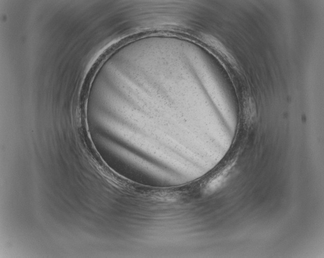 X0000080190924200612221337