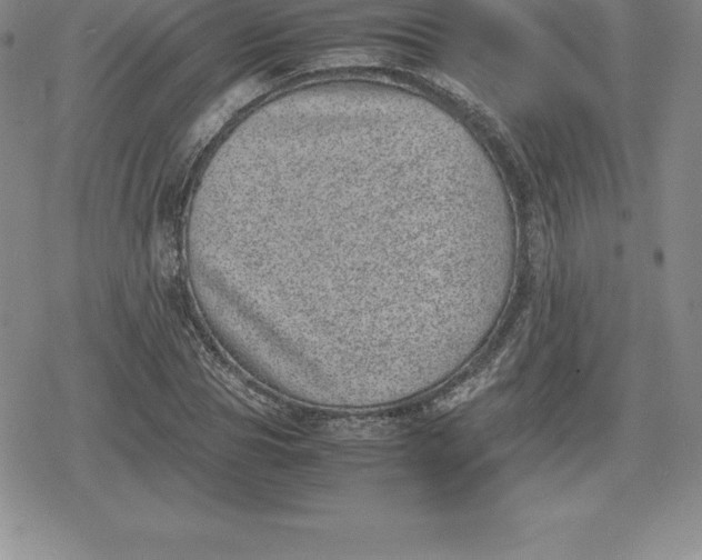 X0000080190929200612221337