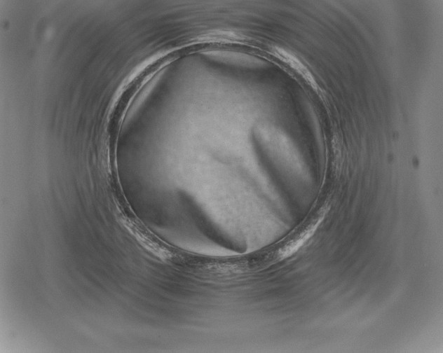 X0000080190931200612221337