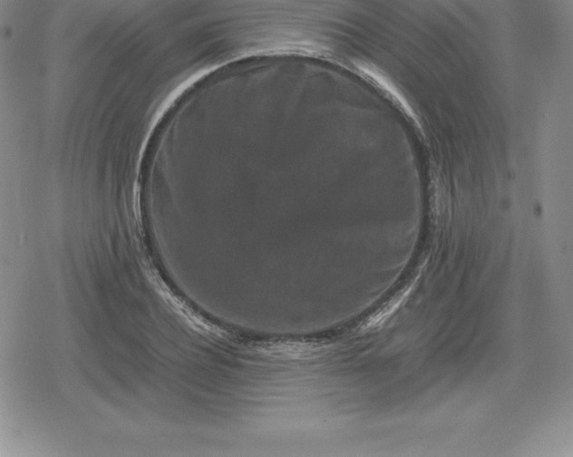 X0000080190932200612221337
