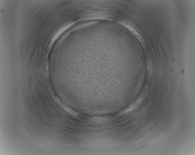 X0000080190933200612221337