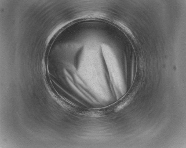 X0000080190936200612221337