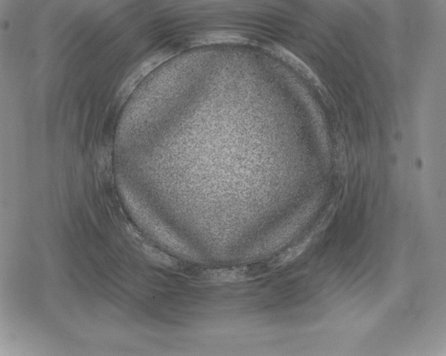 X0000080190937200612221337