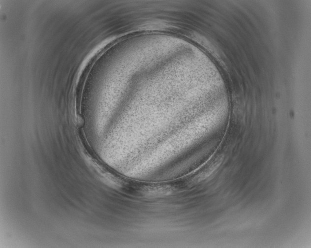 X0000080190939200612221337