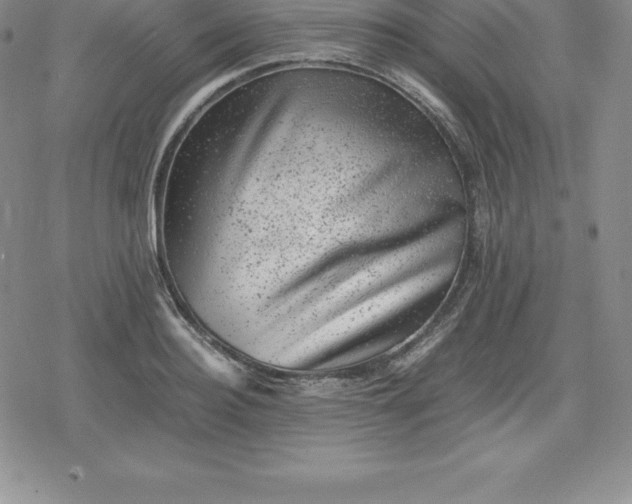 X0000080190940200612221337