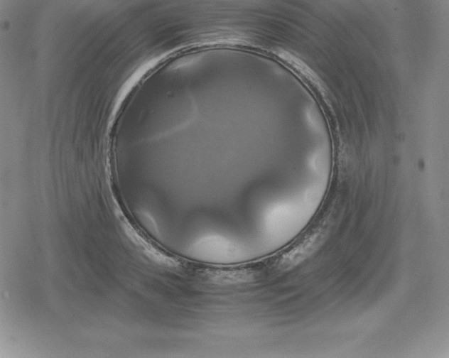 X0000080190941200612221337