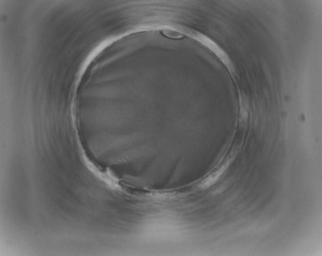 X0000080190958200612221337