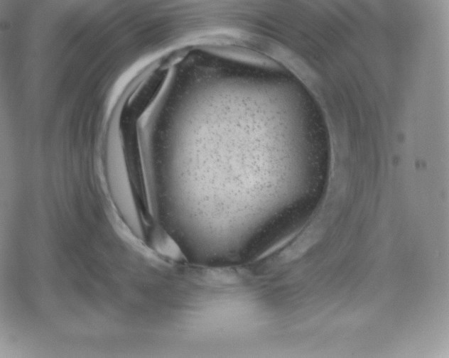 X0000080190960200612221337