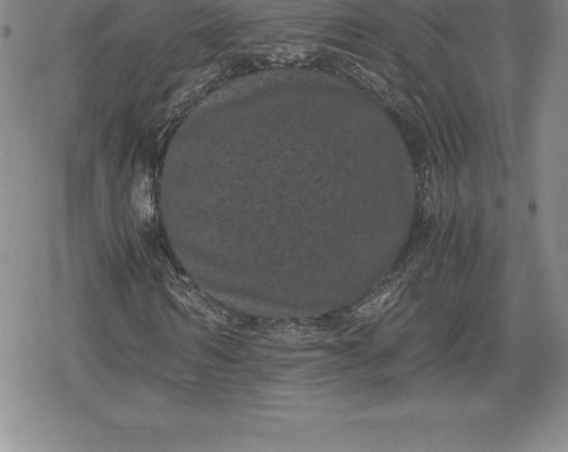 X0000080190962200612221337