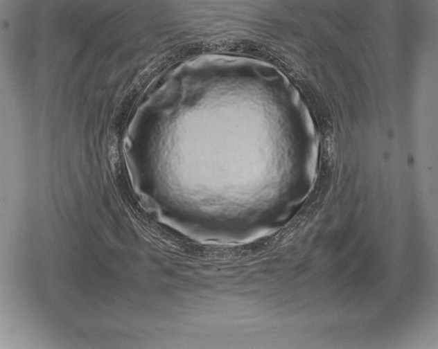 X0000080190963200612221337