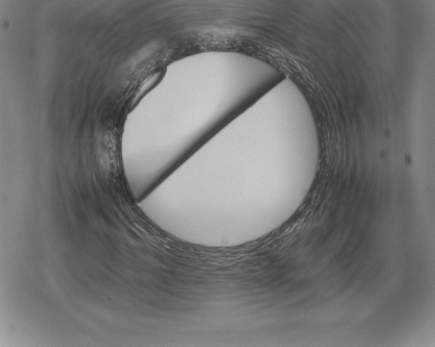 X0000080190964200612221337