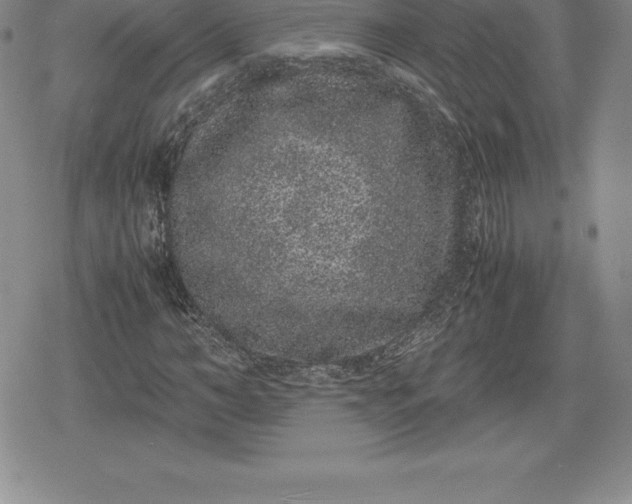 X0000080190966200612221337