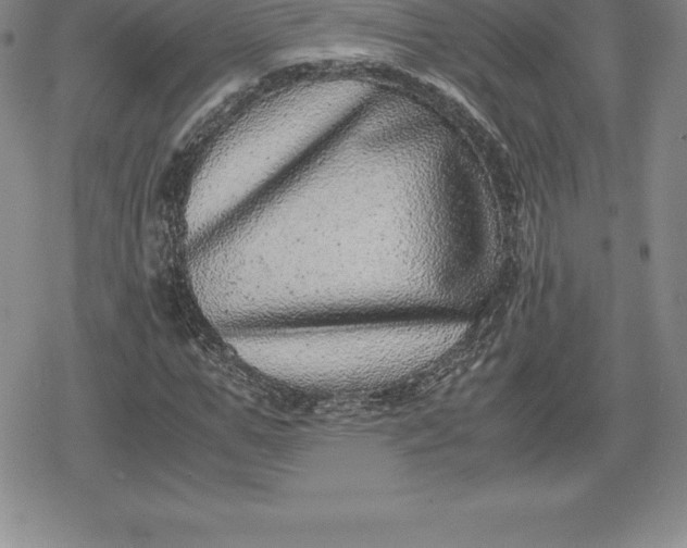 X0000080190967200612221336