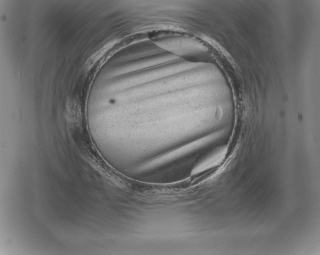X0000080190969200612221336