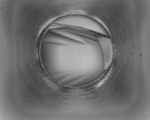 X0000080190973200612221336
