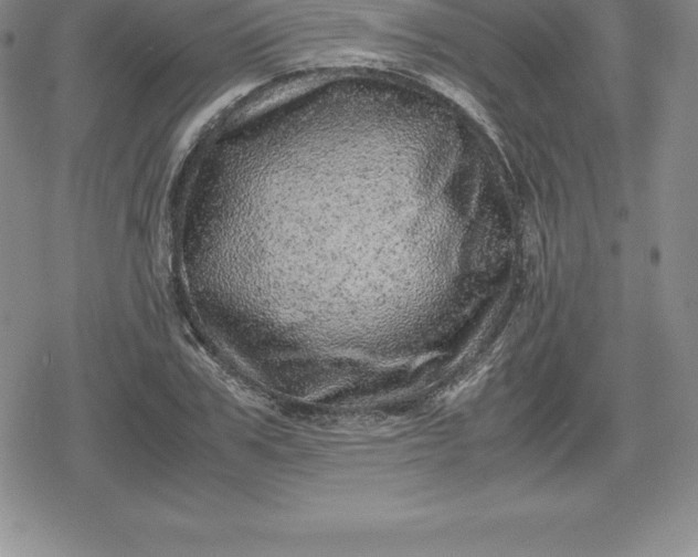 X0000080190979200612221336