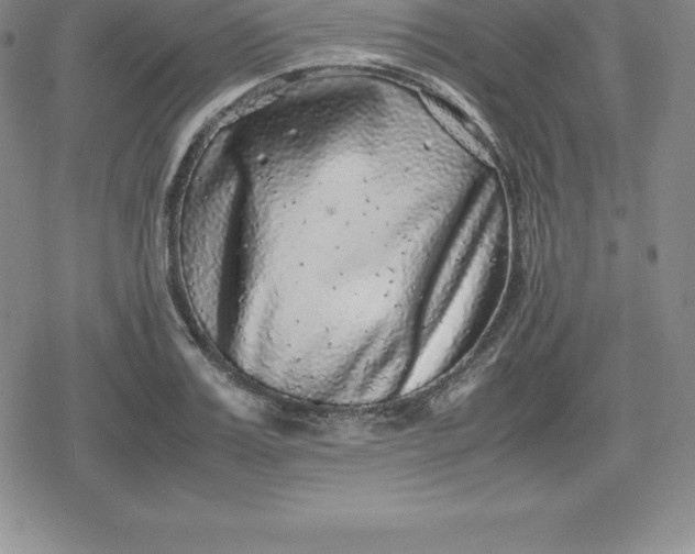 X0000080190987200612221336