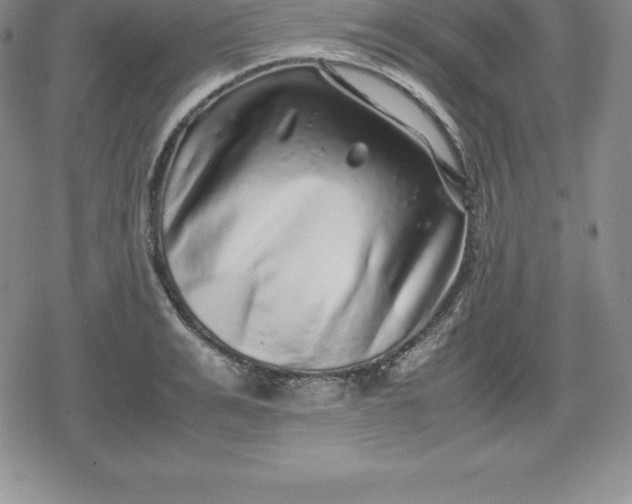 X0000080190991200612221336