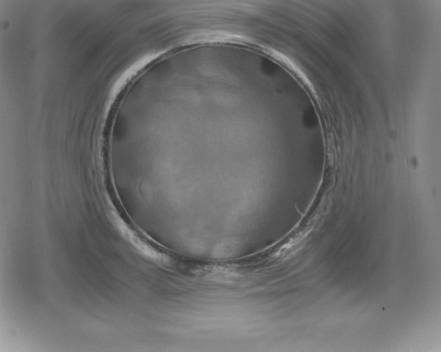 X0000080190995200612221336